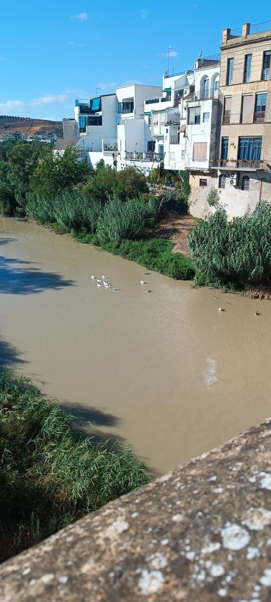 El Patio De La Cris Leilighet Puente Genil Eksteriør bilde