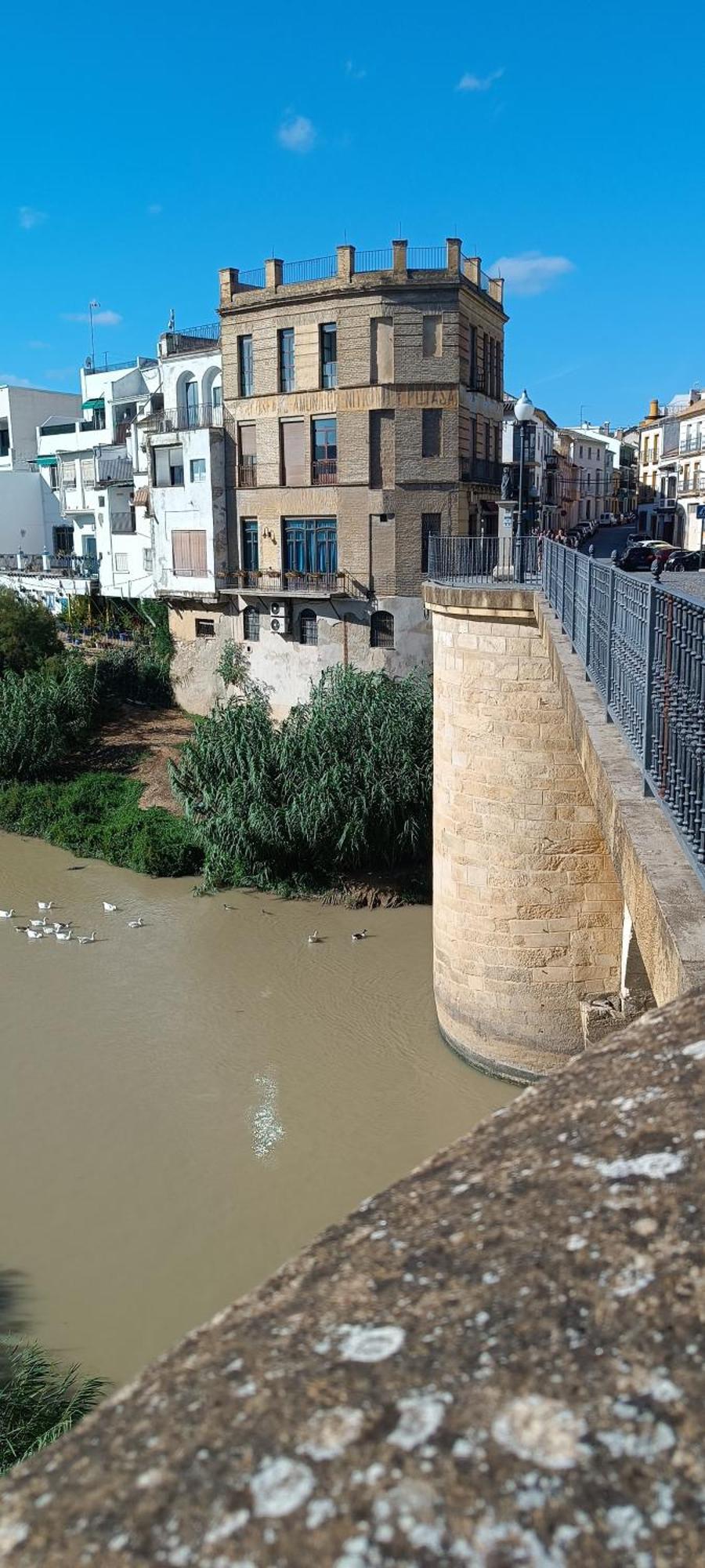 El Patio De La Cris Leilighet Puente Genil Eksteriør bilde