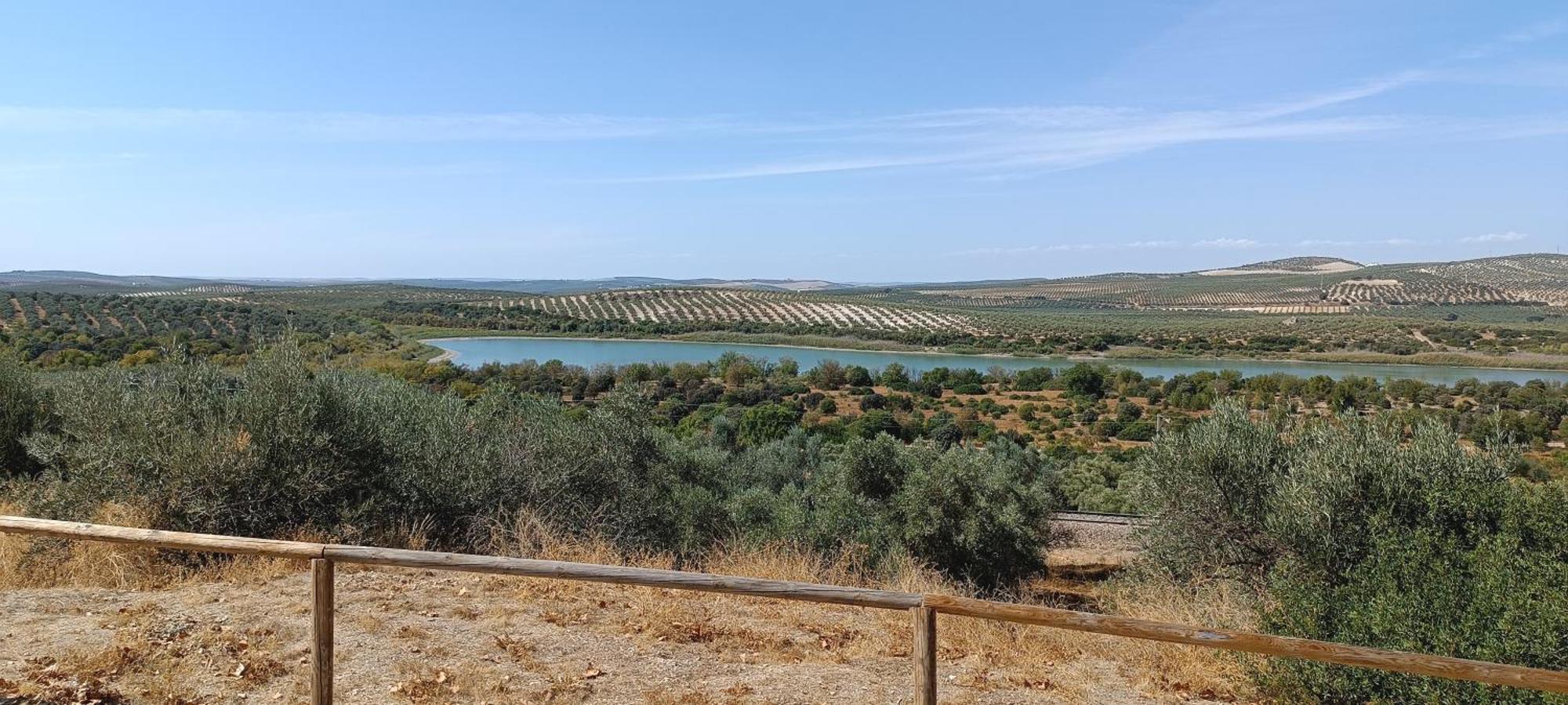 El Patio De La Cris Leilighet Puente Genil Eksteriør bilde