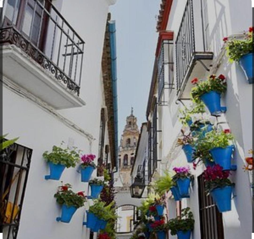 El Patio De La Cris Leilighet Puente Genil Eksteriør bilde